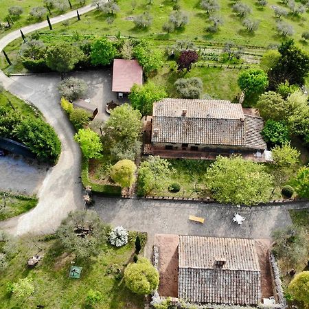 Agriturismo Panorama Sul Lago Passignano sul Trasimeno Dış mekan fotoğraf