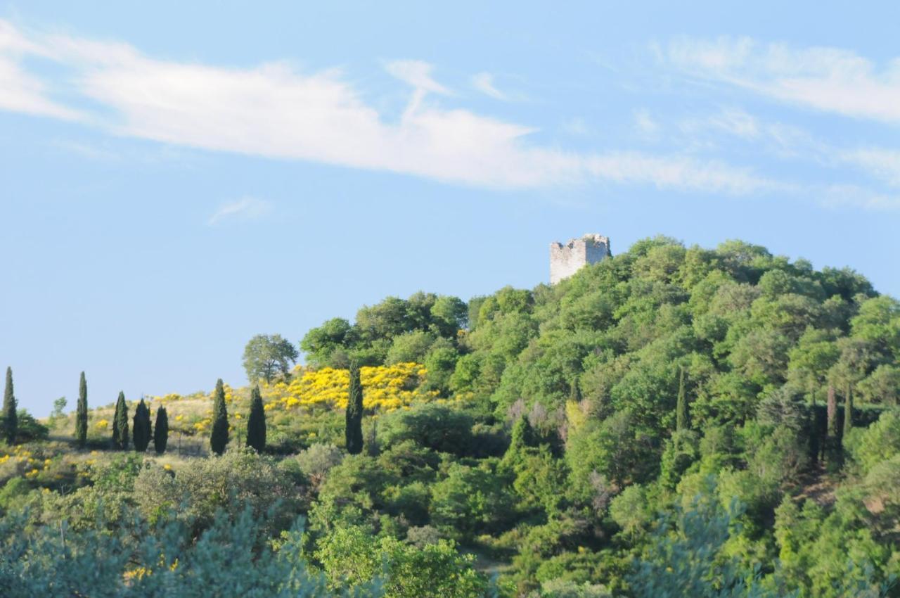 Agriturismo Panorama Sul Lago Passignano sul Trasimeno Dış mekan fotoğraf