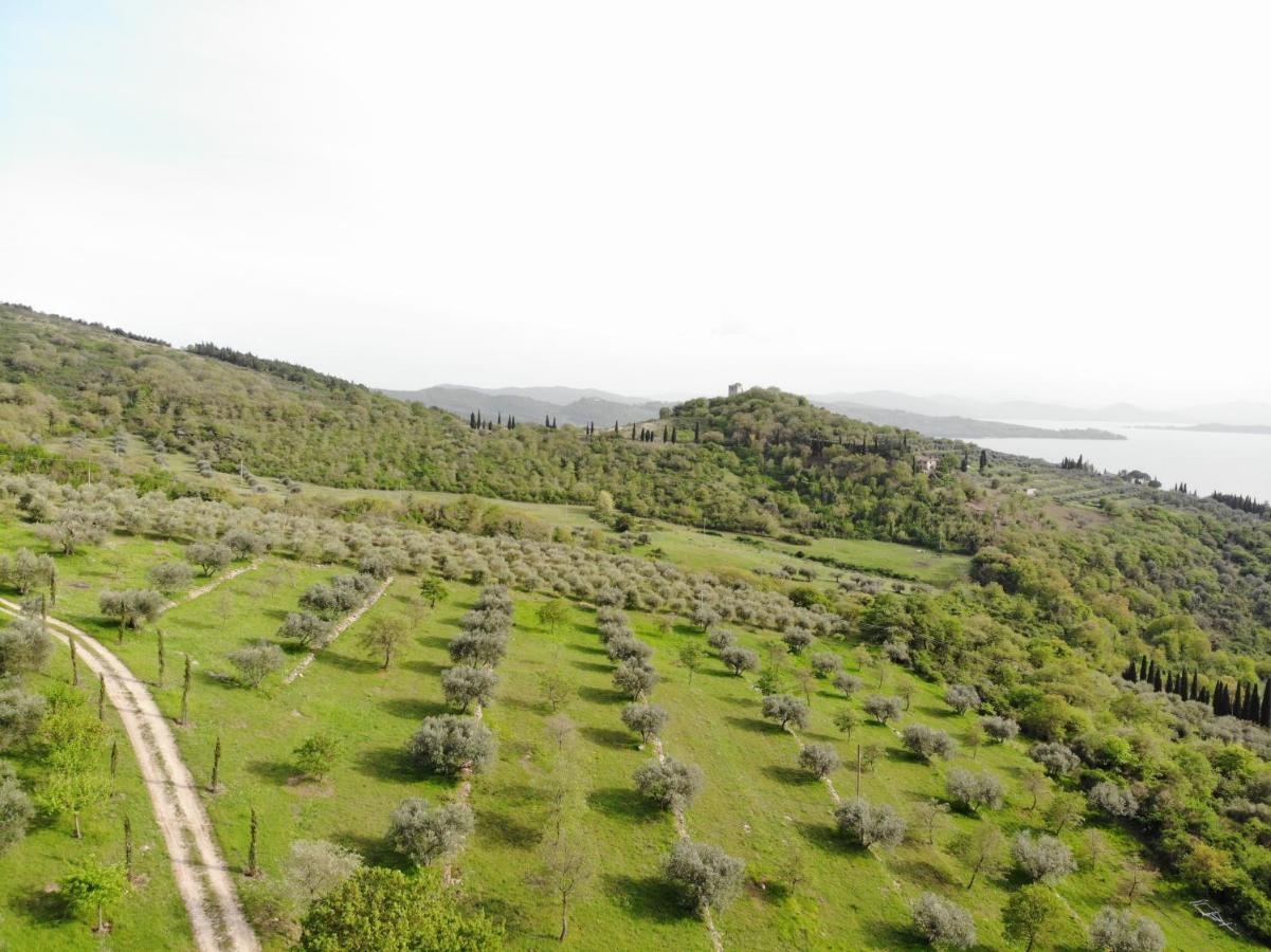 Agriturismo Panorama Sul Lago Passignano sul Trasimeno Dış mekan fotoğraf